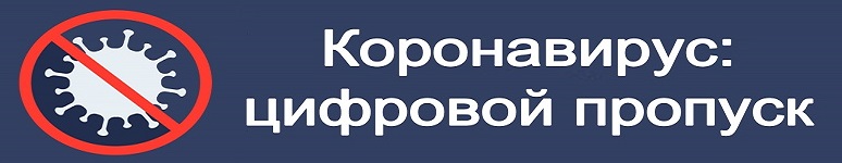 Цифровой пропуск АВО.jpg